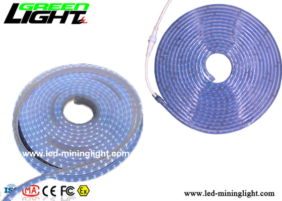 SMD5050 RGB красит водоустойчивые света приведенные прокладки 24 низшего напряжения вольта взрывозащищенный