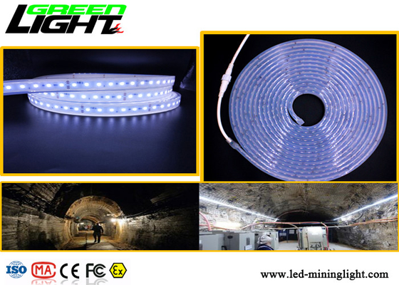 SMD5050 RGB красит водоустойчивые света приведенные прокладки 24 низшего напряжения вольта взрывозащищенный